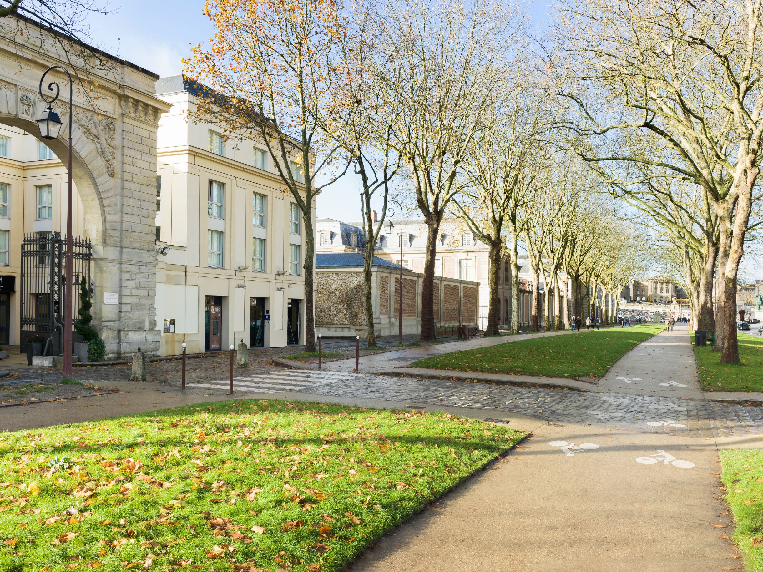 a sidewalk with trees and grass on the side