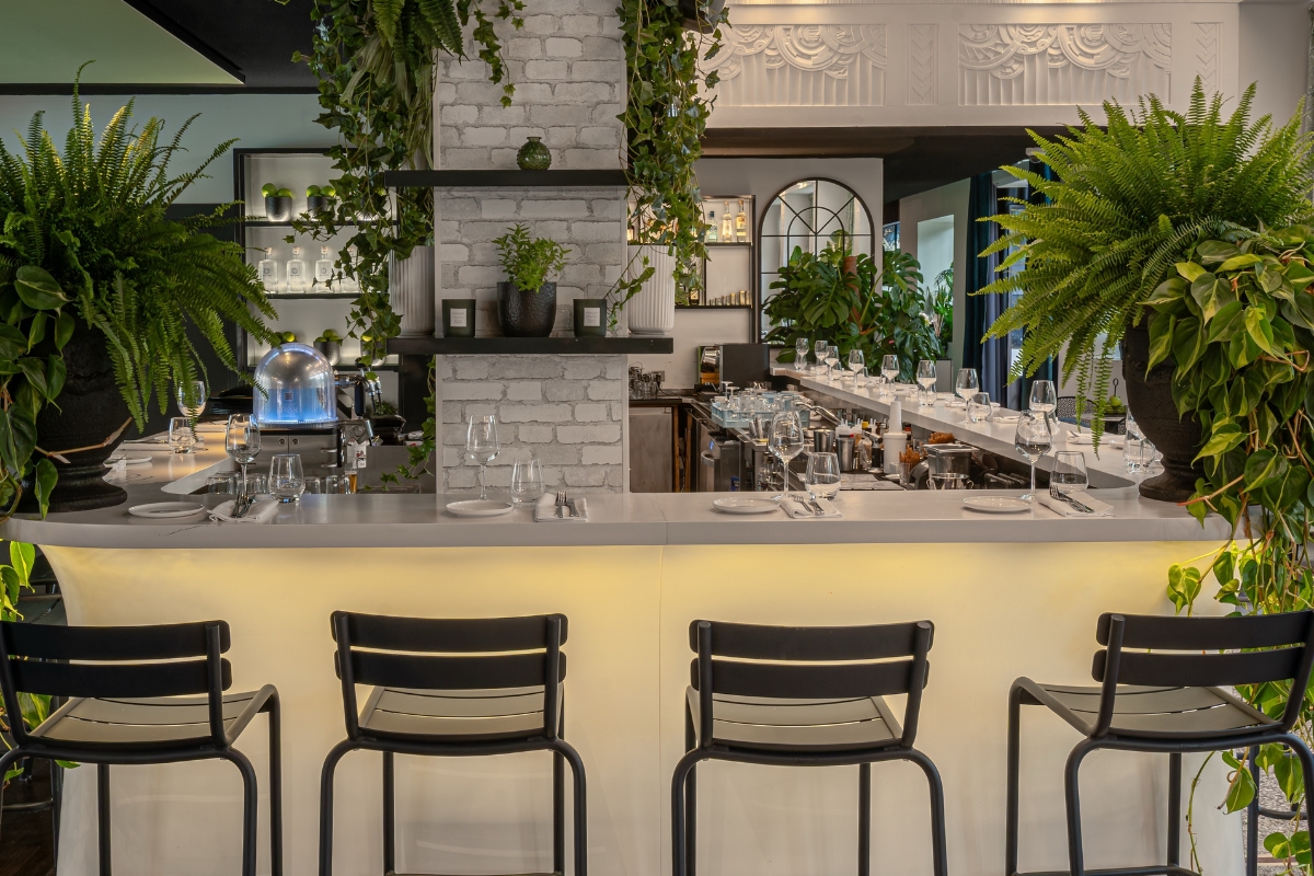 a bar with chairs and plants