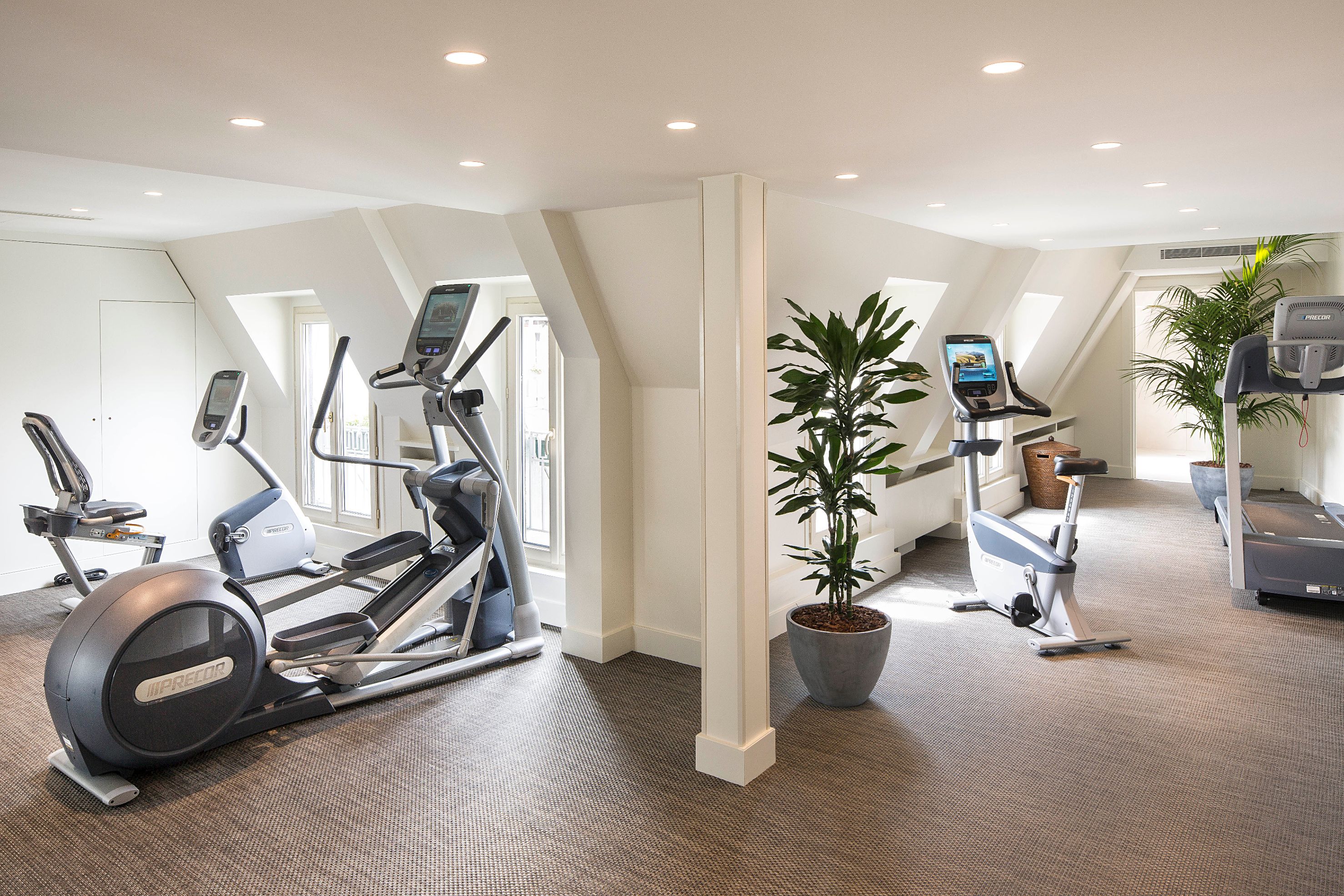 a room with exercise machines and a plant