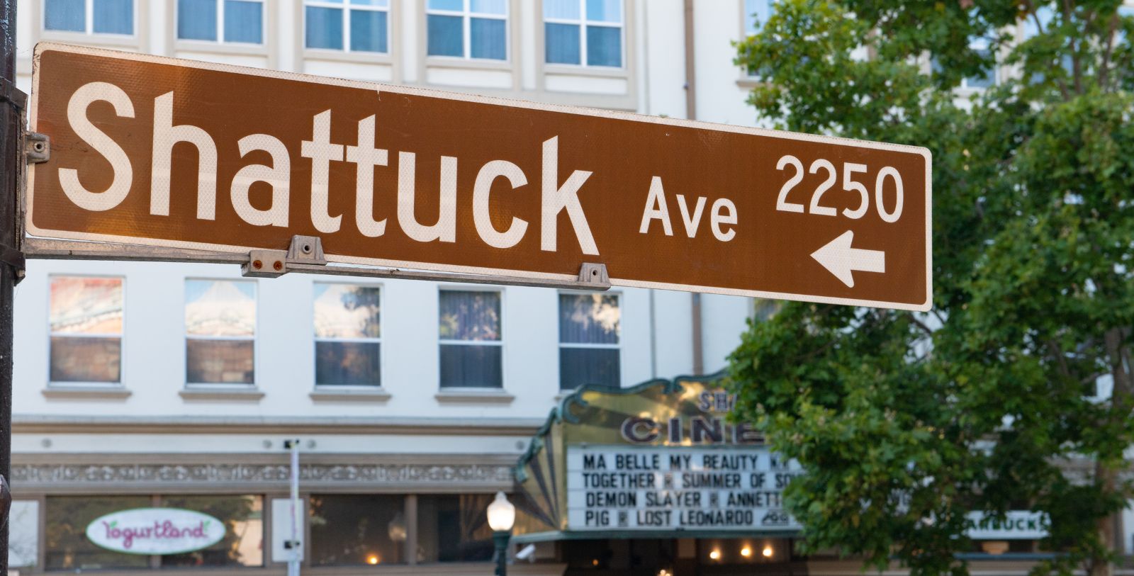 a brown street sign with white text