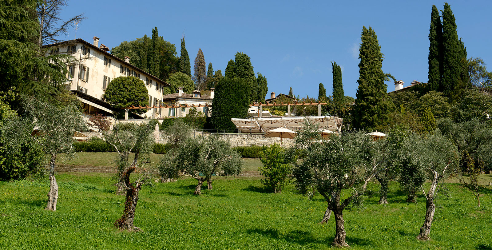 a green field with trees and buildings in the background