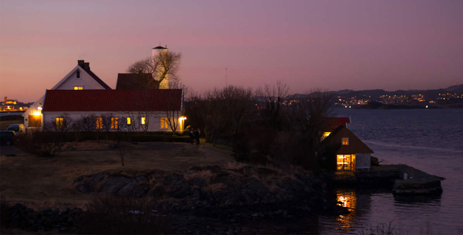 a group of houses on a hill by water