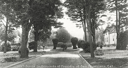 a park with trees and bushes