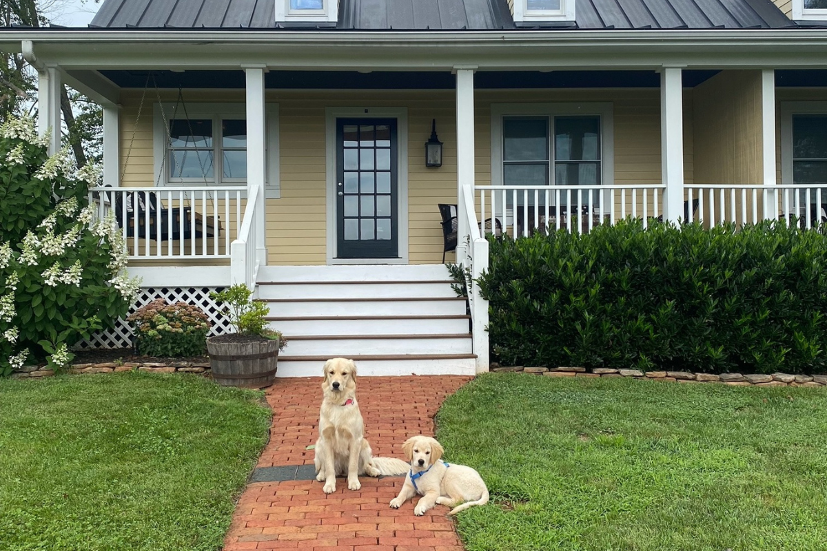 two dogs sitting on a brick path in front of a house