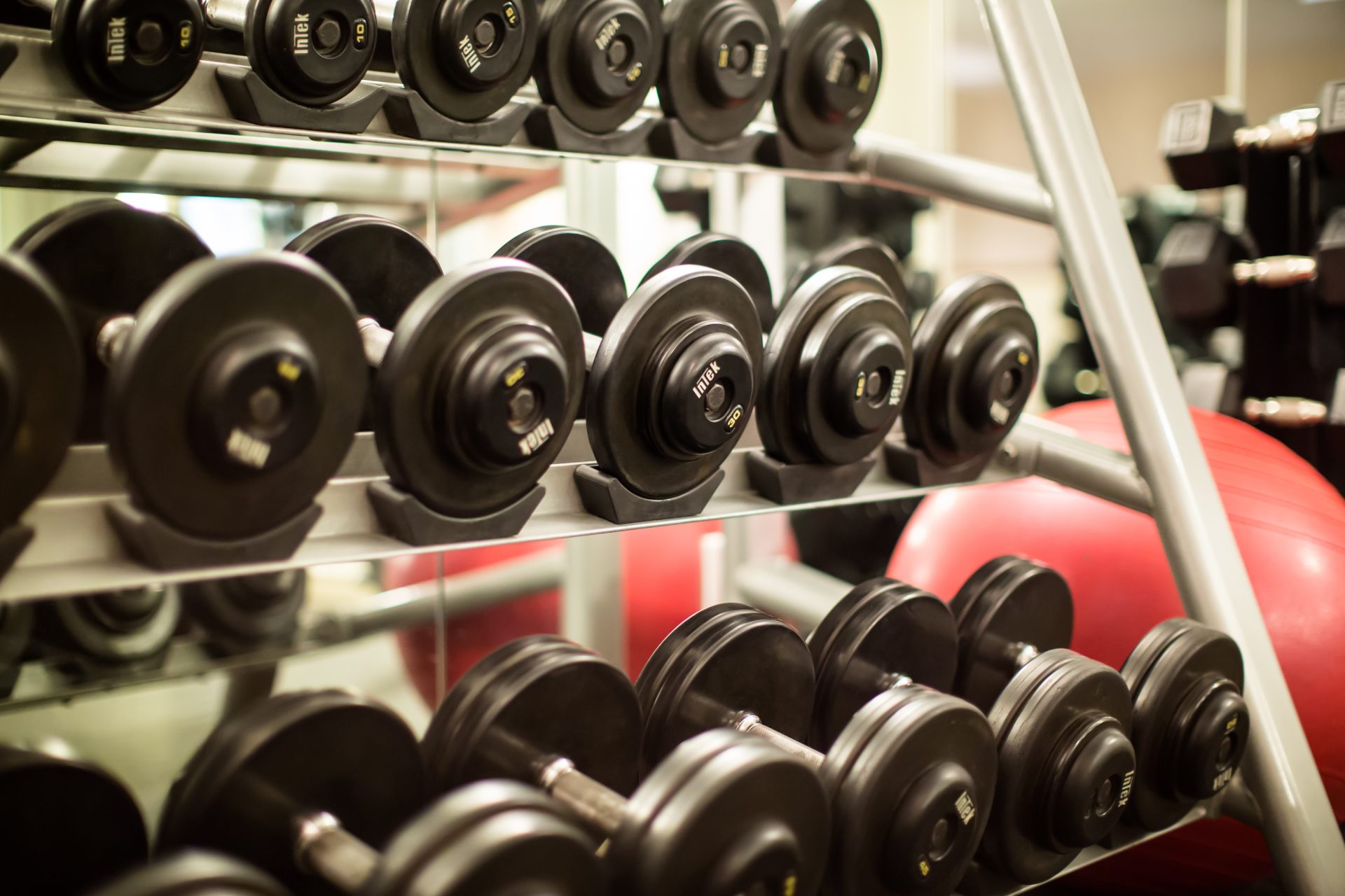 a rack of weights on a shelf