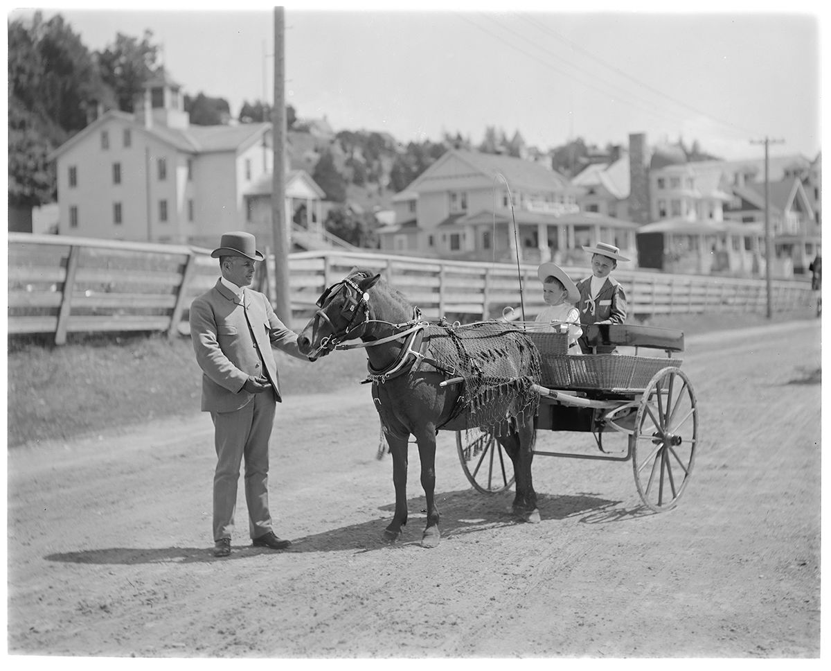 a man standing next to a horse drawn carriage