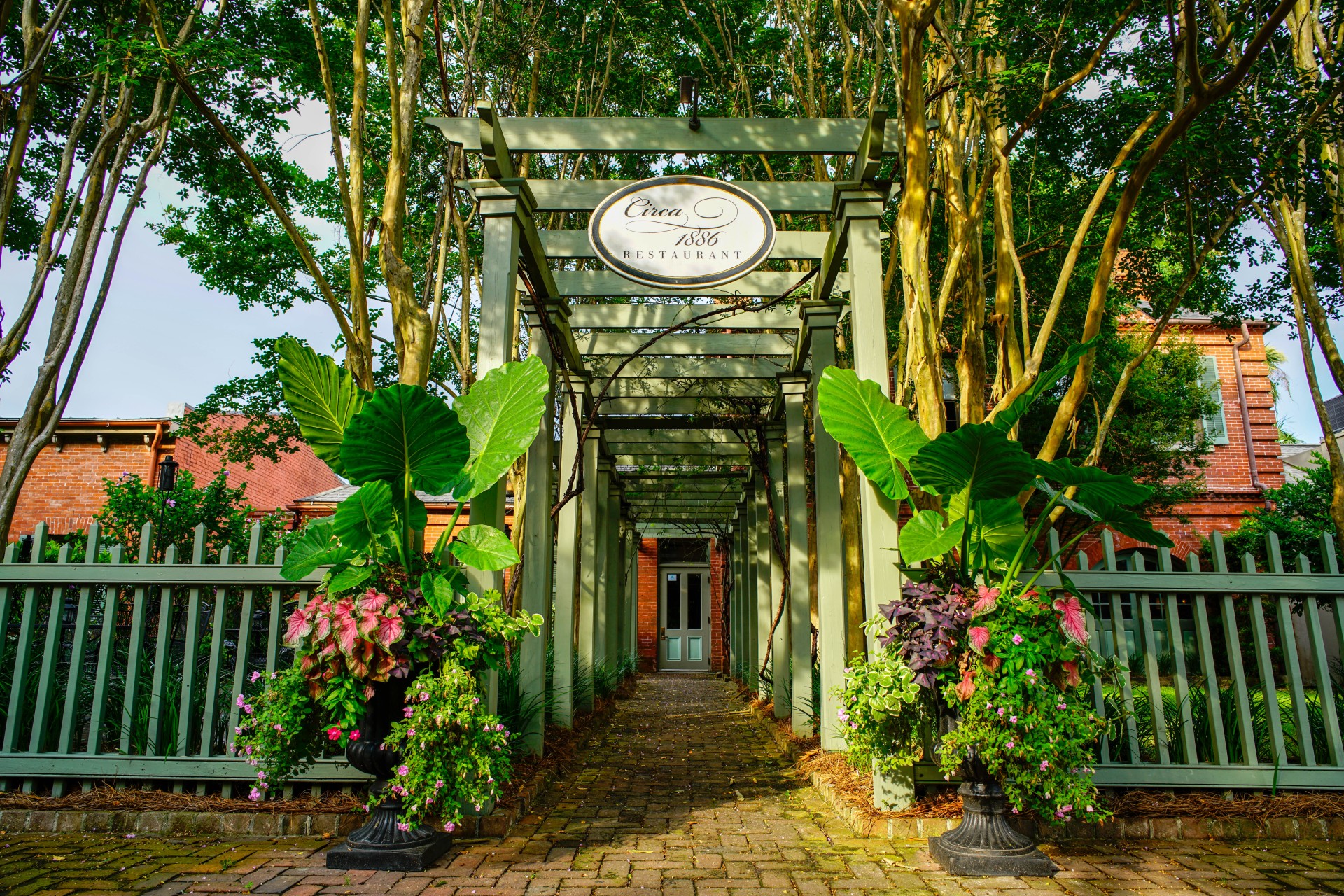 a walkway with a pergola and flowers