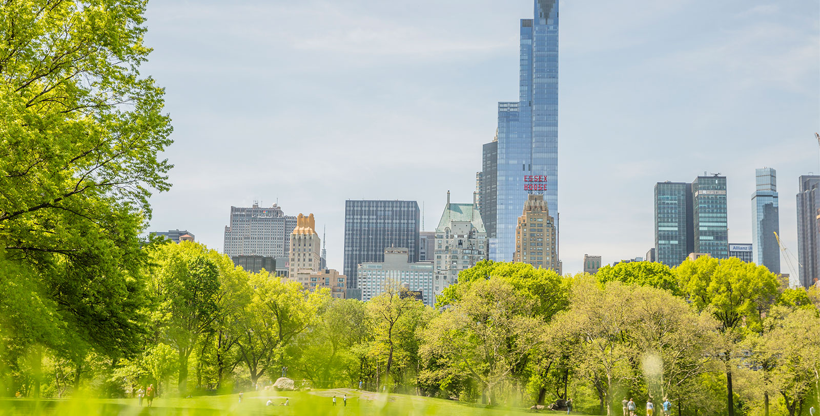 a park with trees and tall buildings in the background
