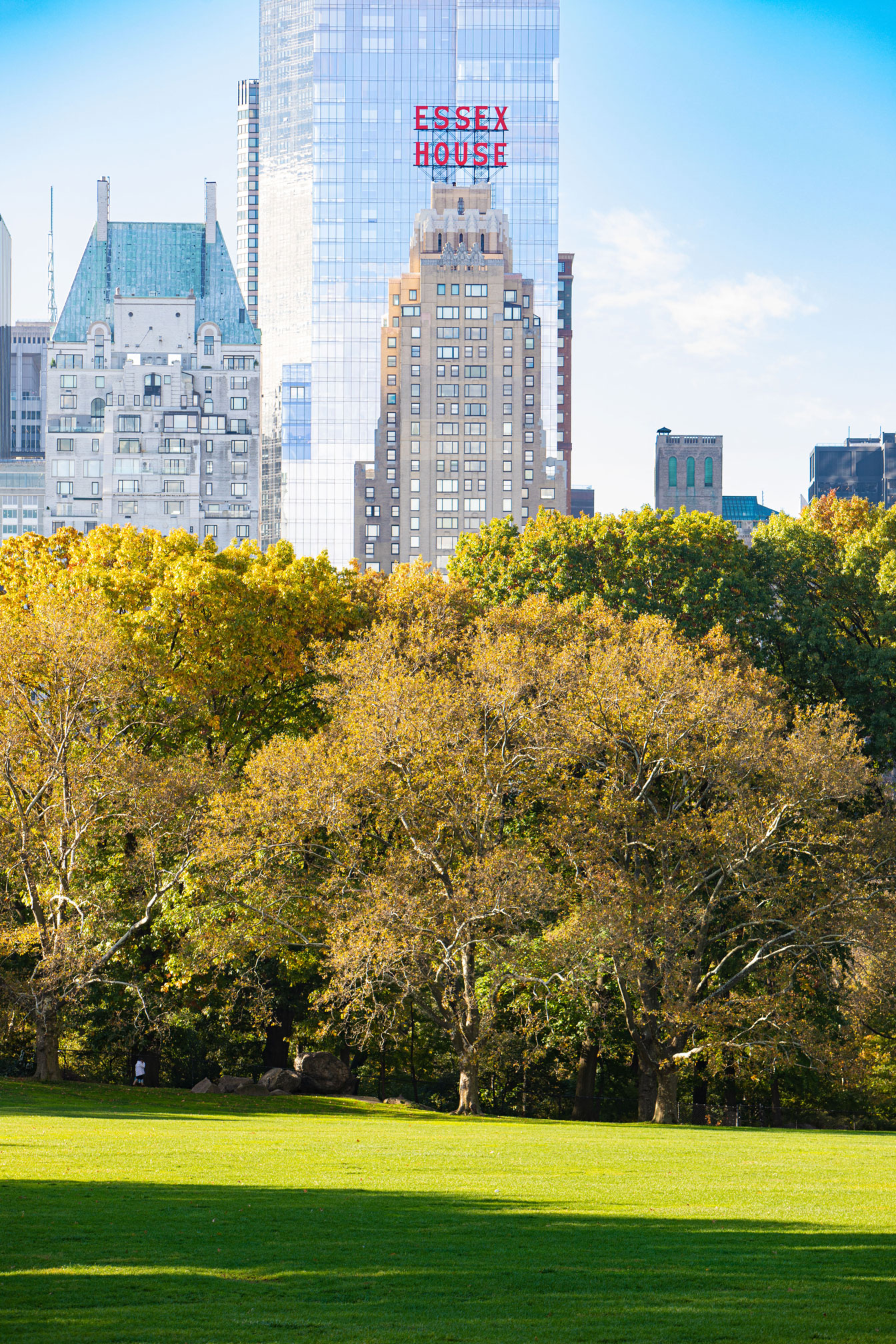 a park with trees and buildings in the background