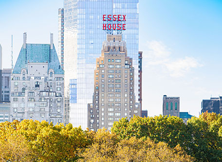 a group of trees in front of a tall building