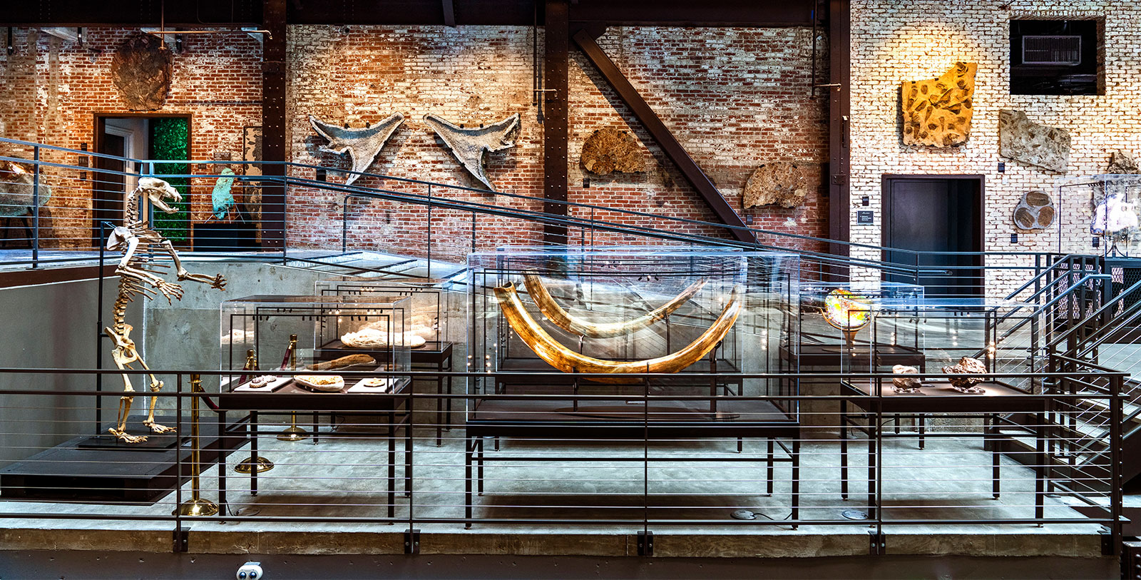 a display case with glass cases and a glass case with a few objects on it