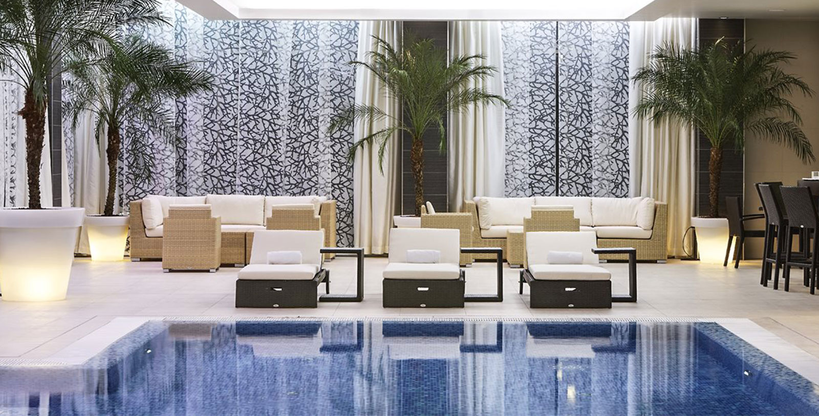 a pool with chairs and a palm tree