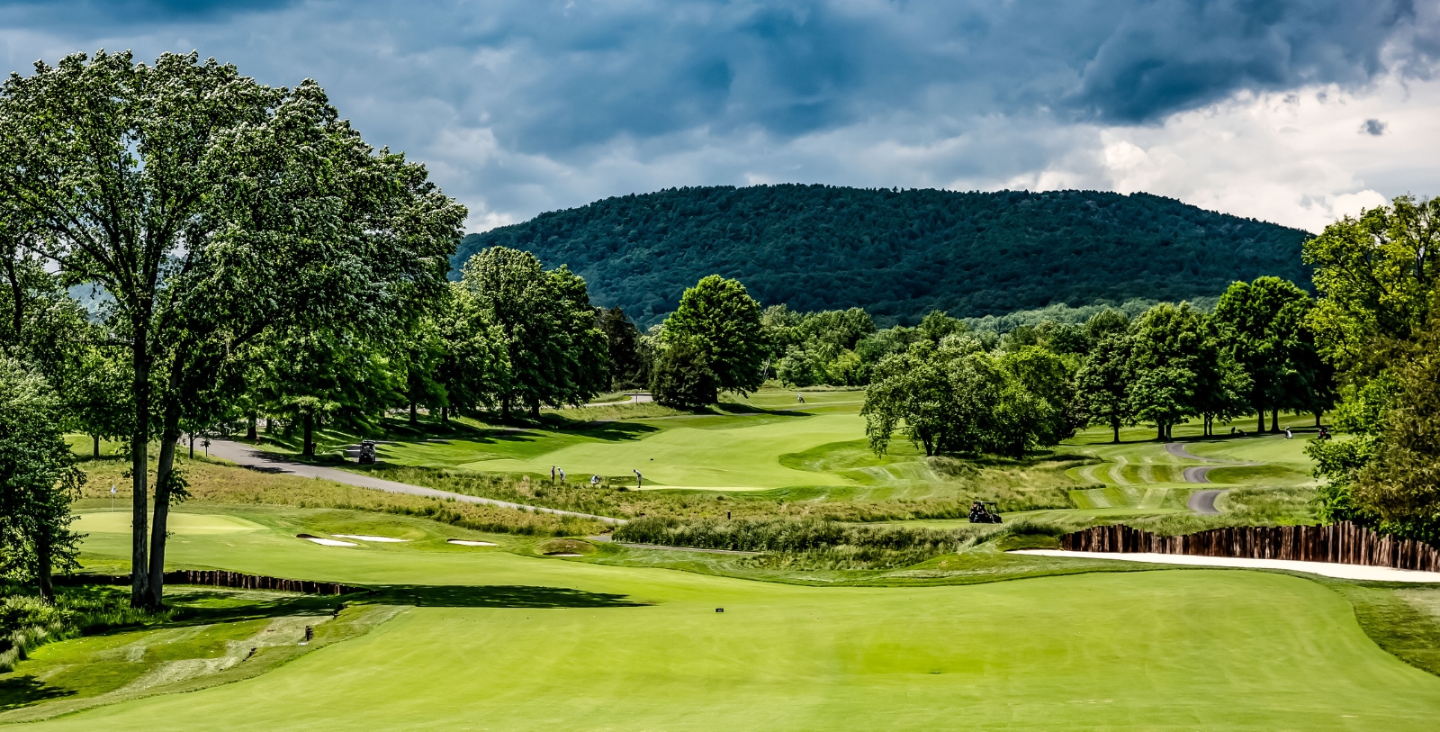 a golf course with trees and mountains in the background
