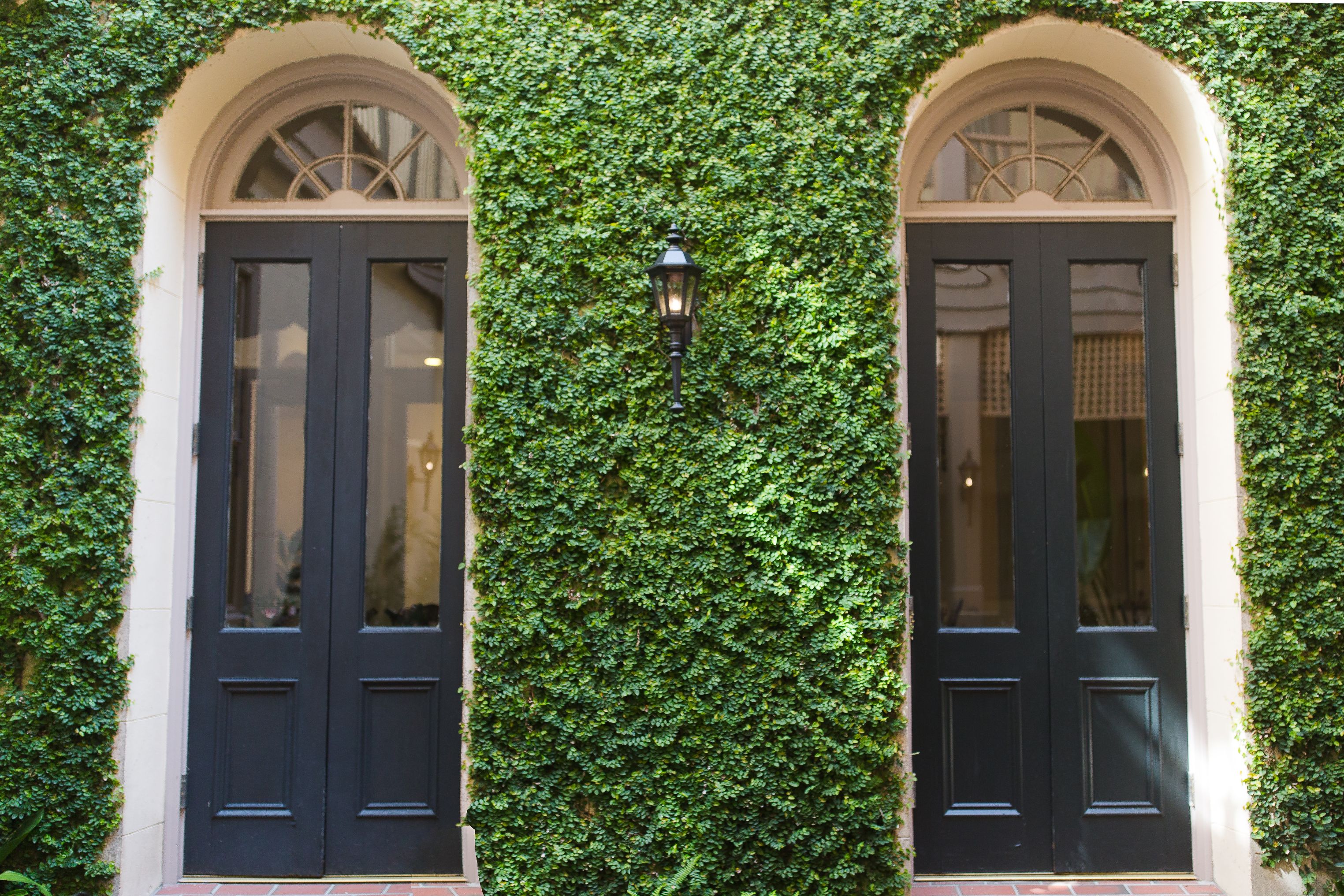 a green ivy covered building with two doors