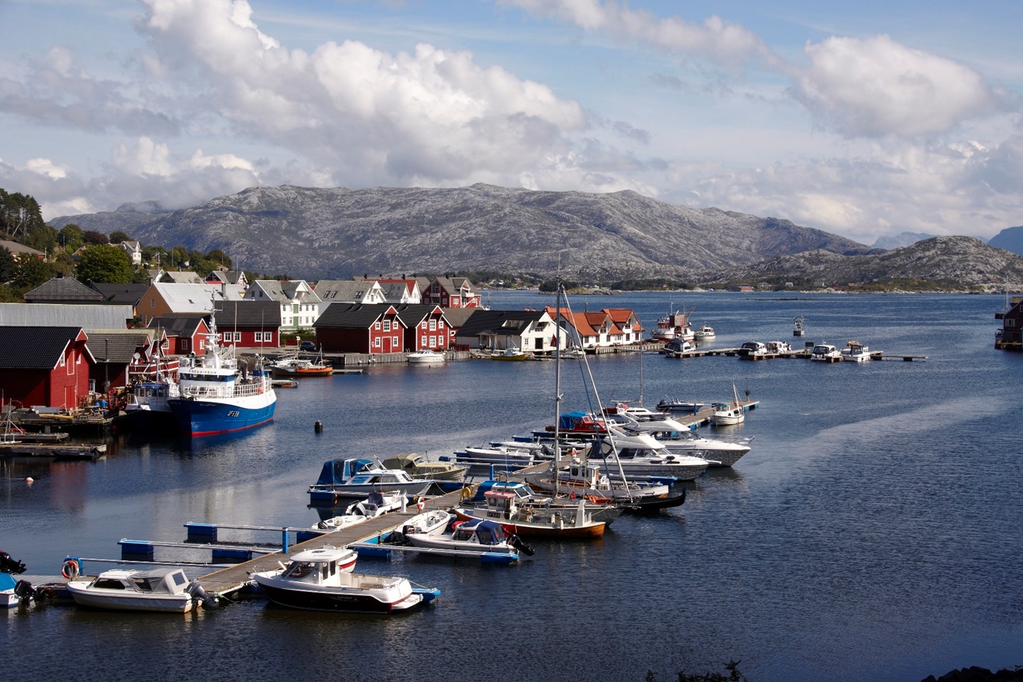 a group of boats in a body of water