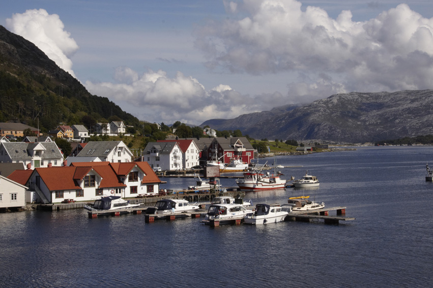 boats on the water