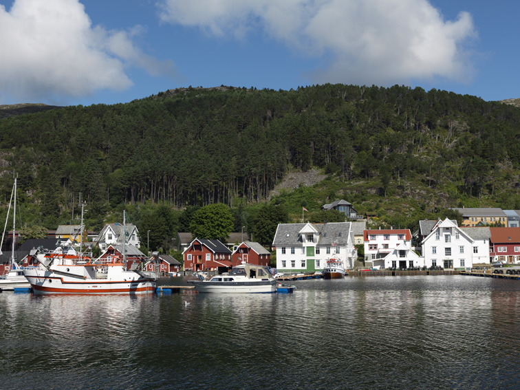 a group of houses on a body of water
