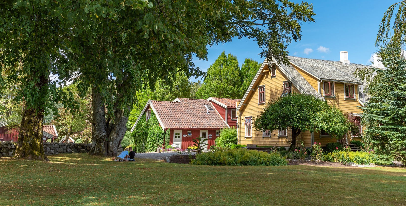 a group of houses in a park