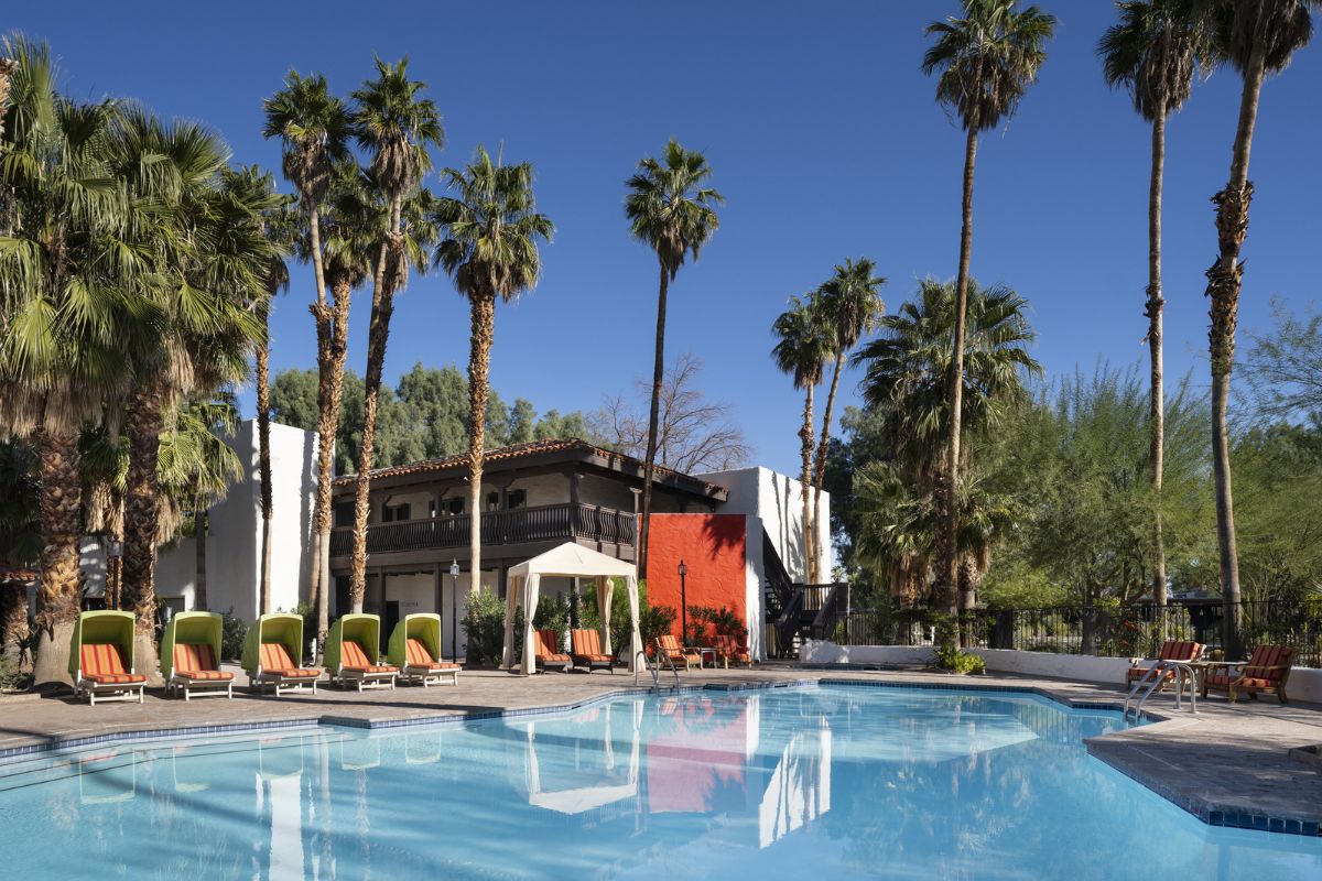 a pool with palm trees and chairs