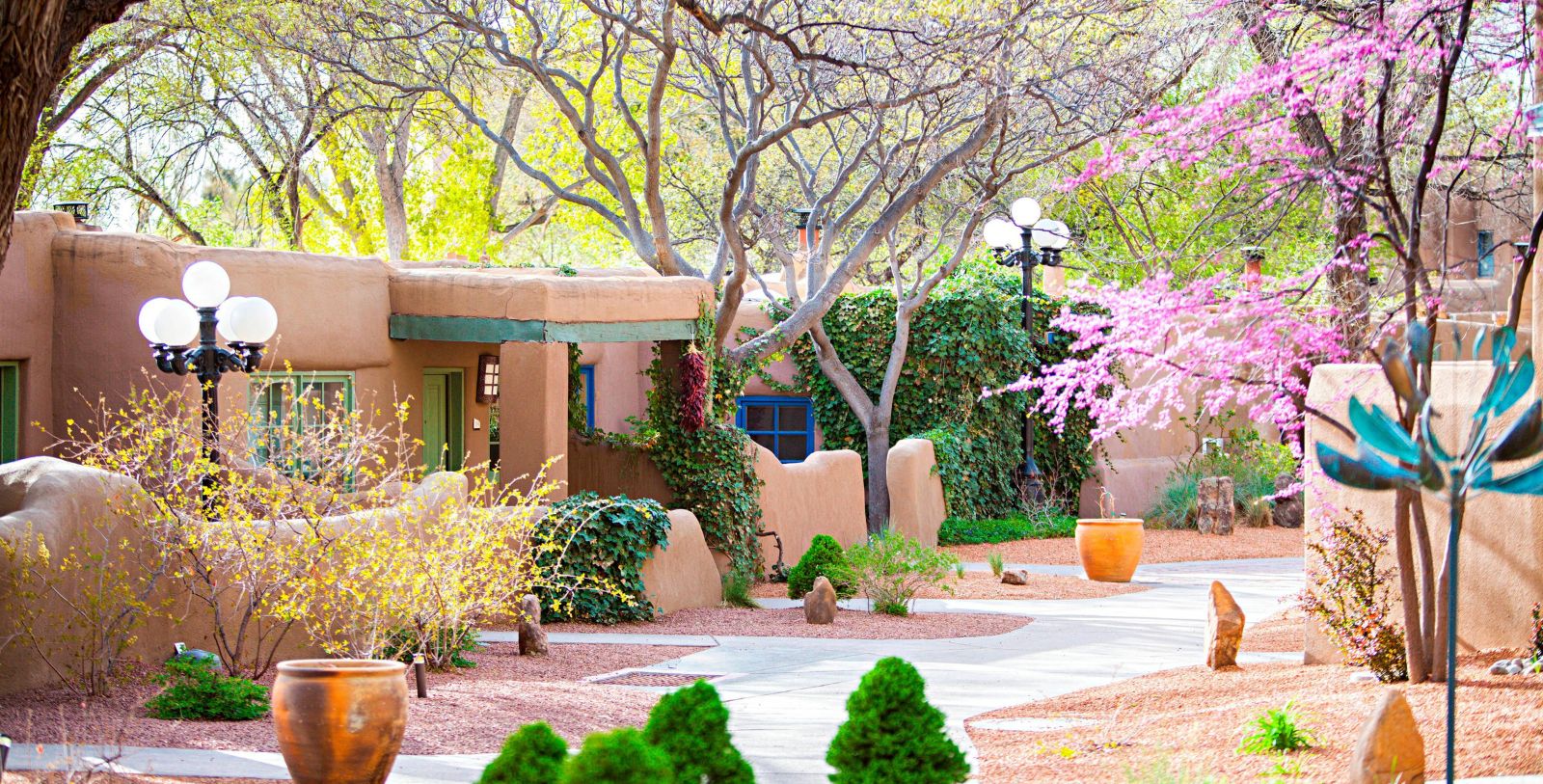 a courtyard with trees and plants