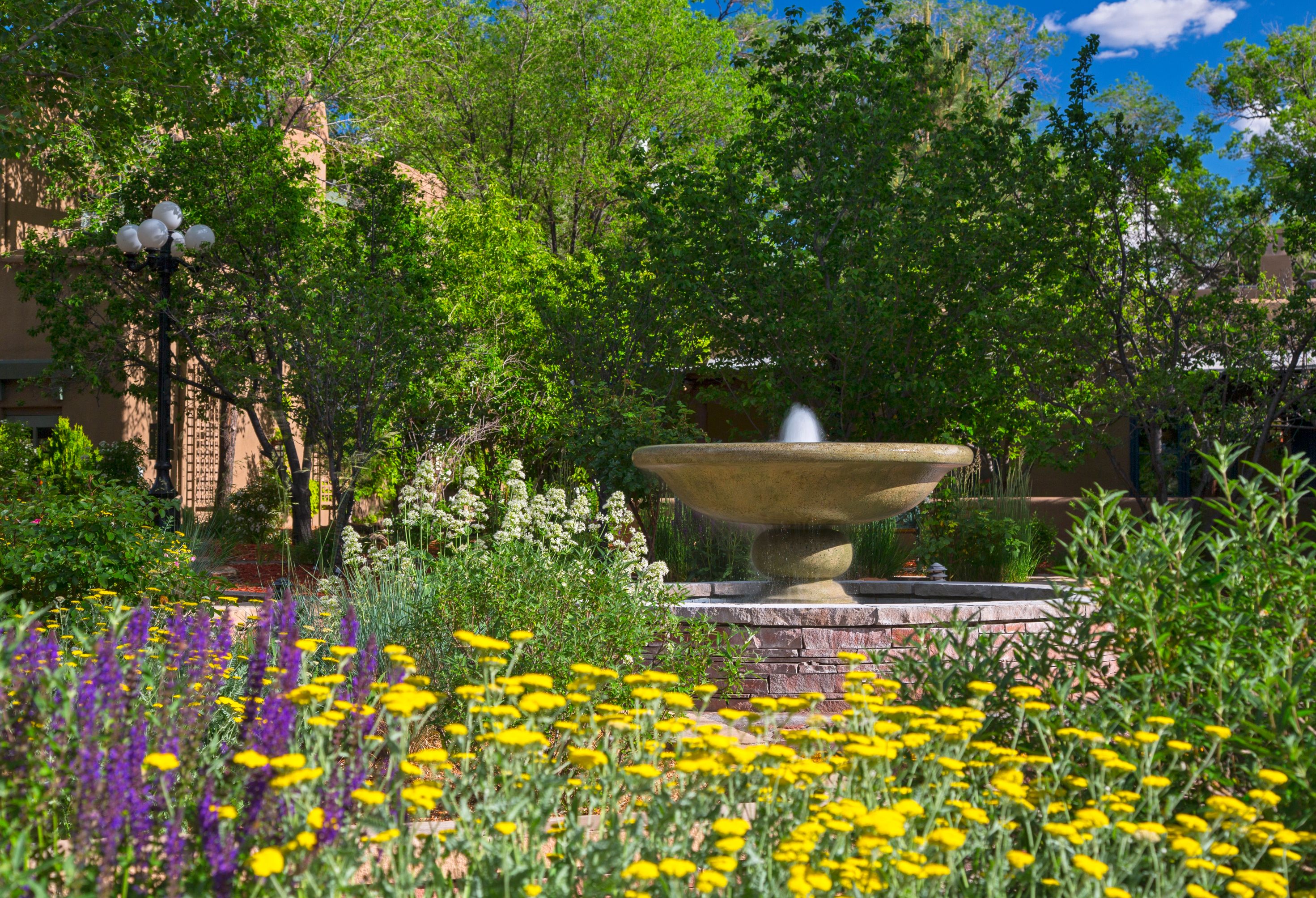 a fountain in a garden
