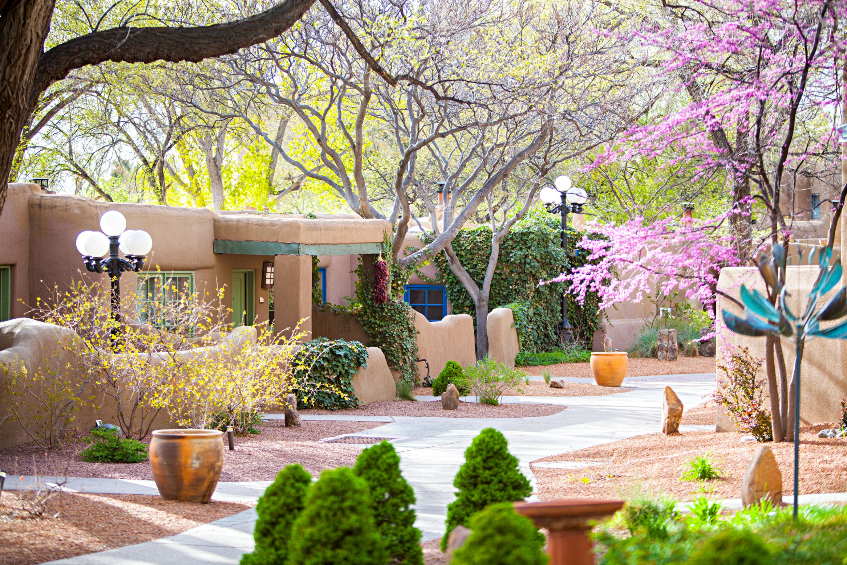 a courtyard with trees and plants