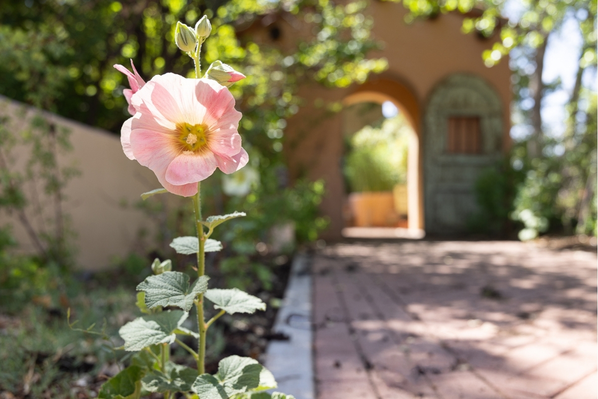 Image of Gardens at La Posada, 1930, a Member of Historic Hotels of America in Winslow, Arizona.