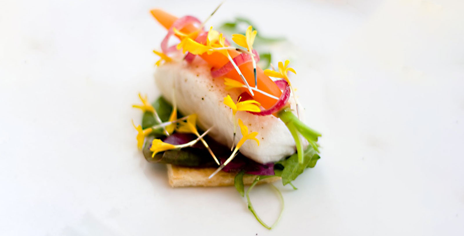 a food on a plate