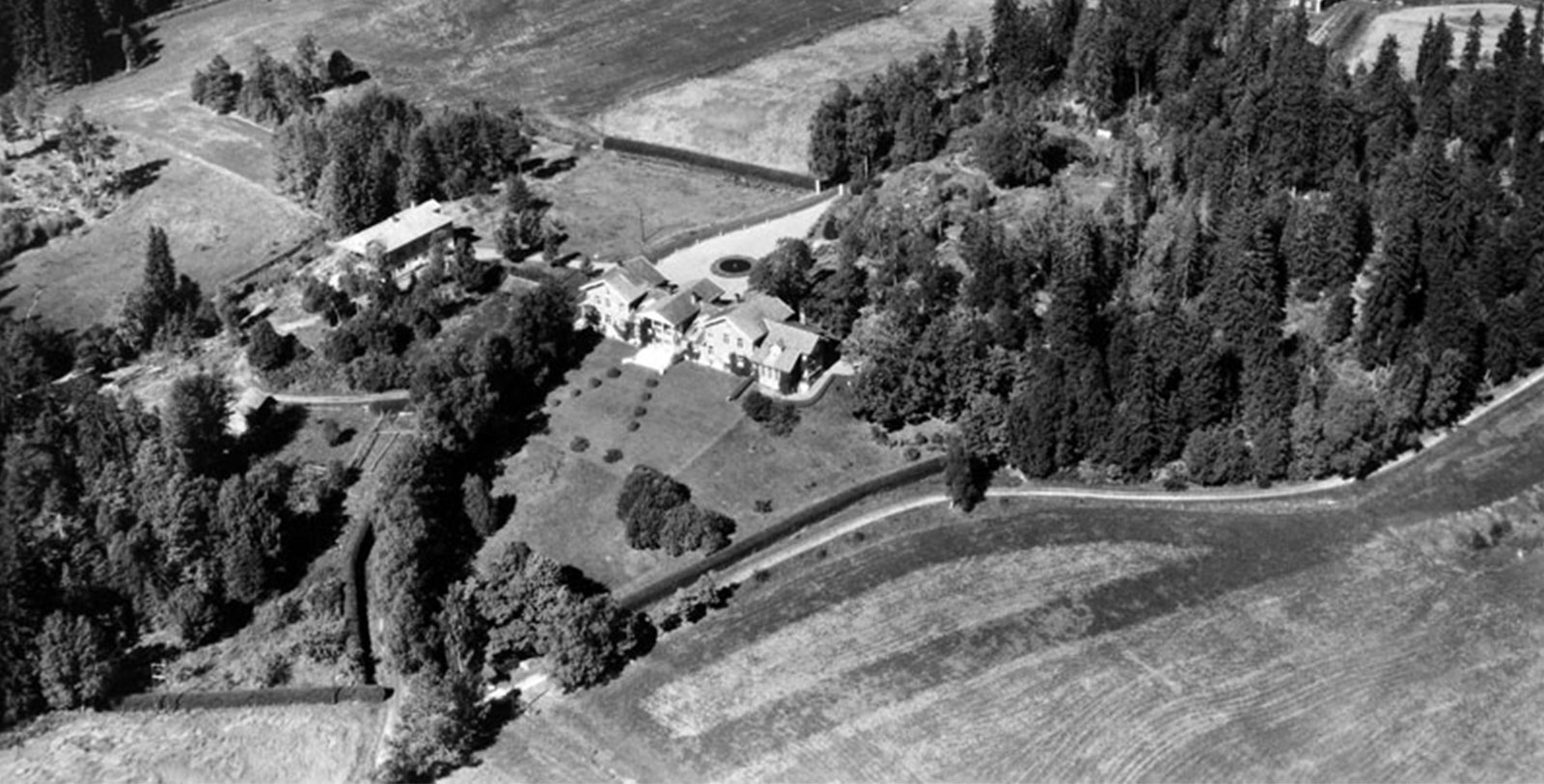 a house surrounded by trees