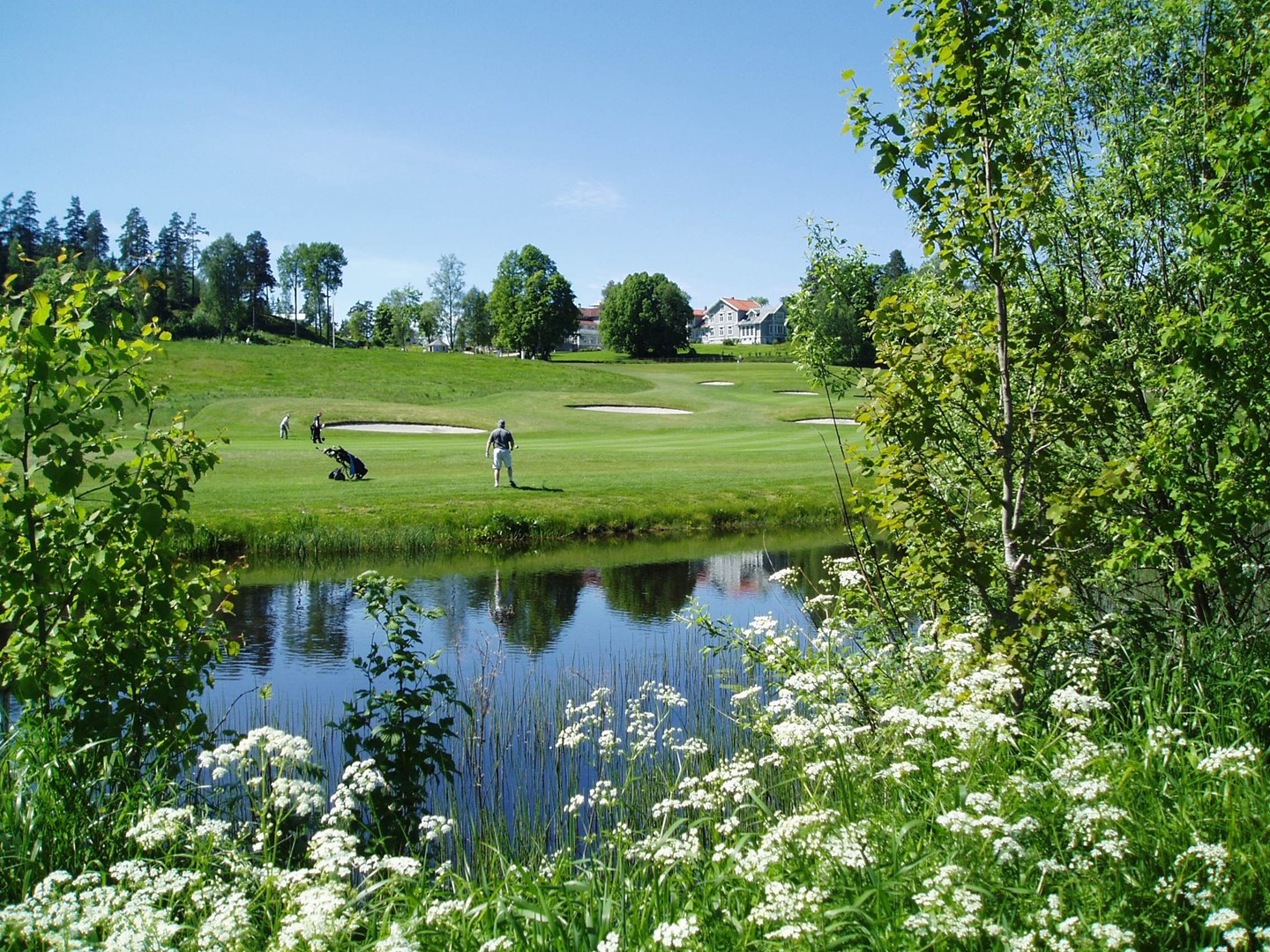a group of people playing golf