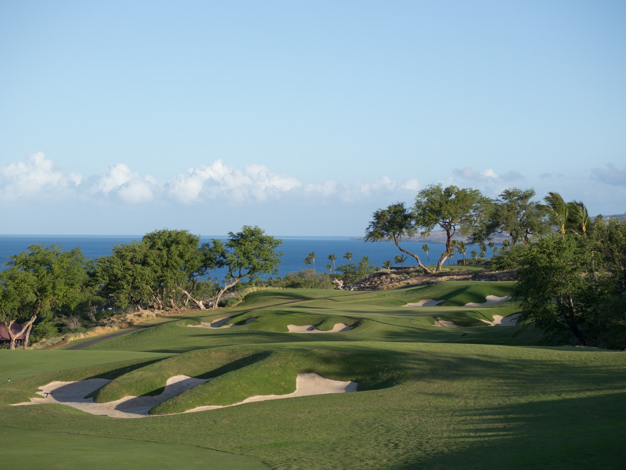 a golf course with sand bunkers and trees and water