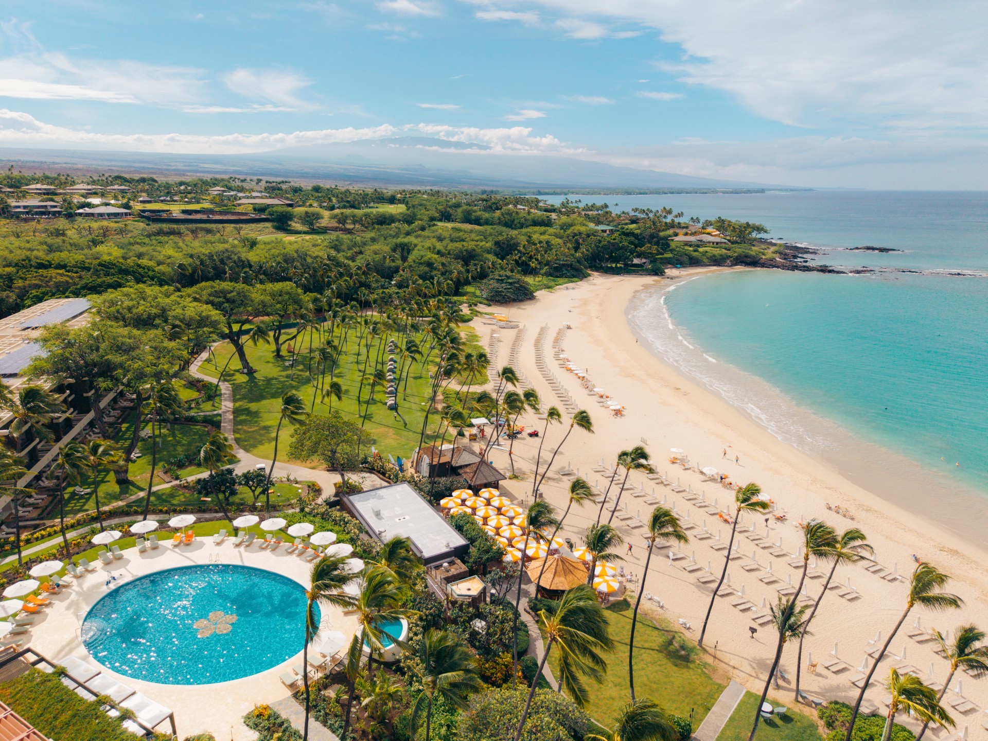 a beach with a pool and trees