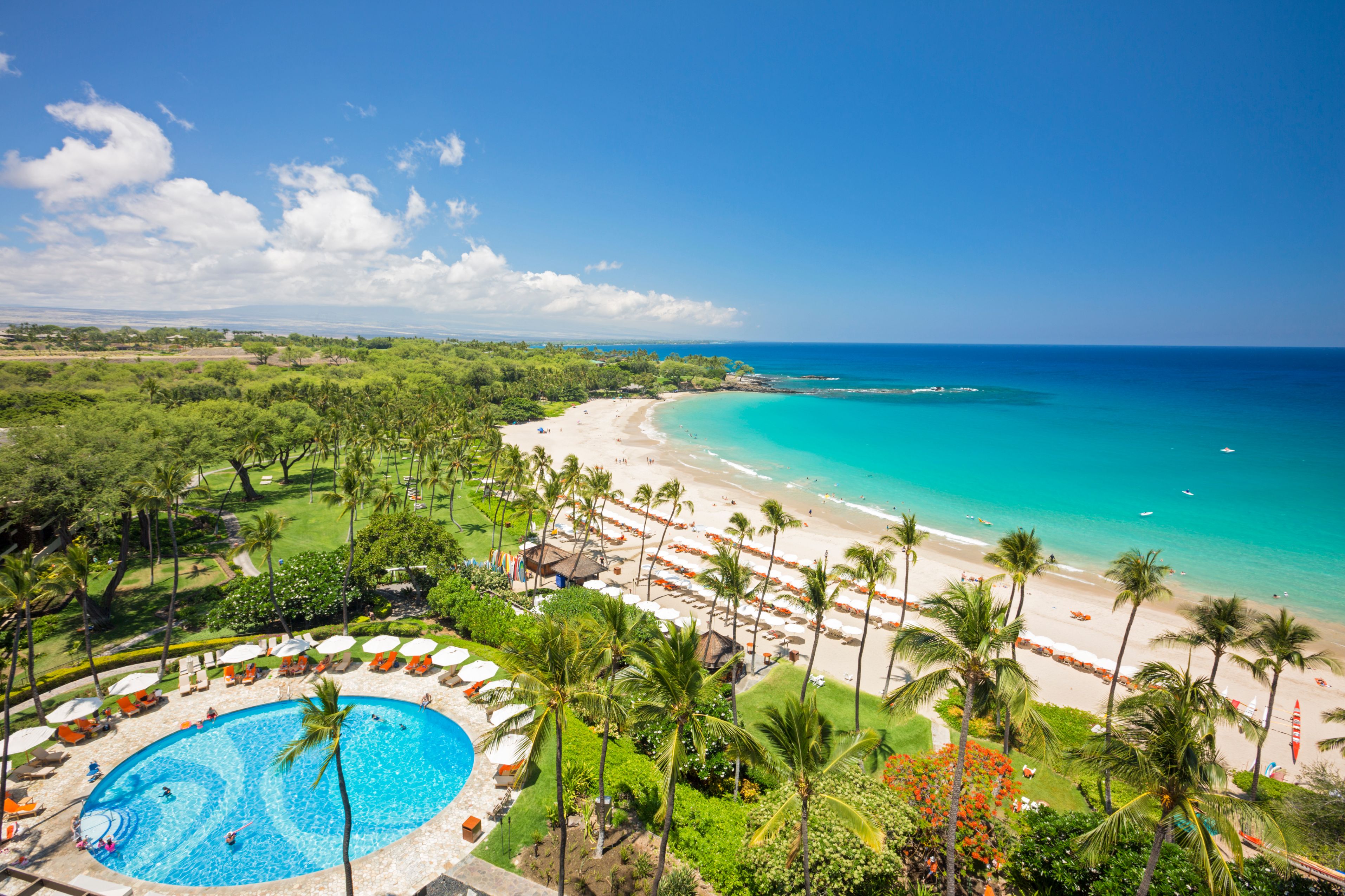 a pool and beach with palm trees and blue water