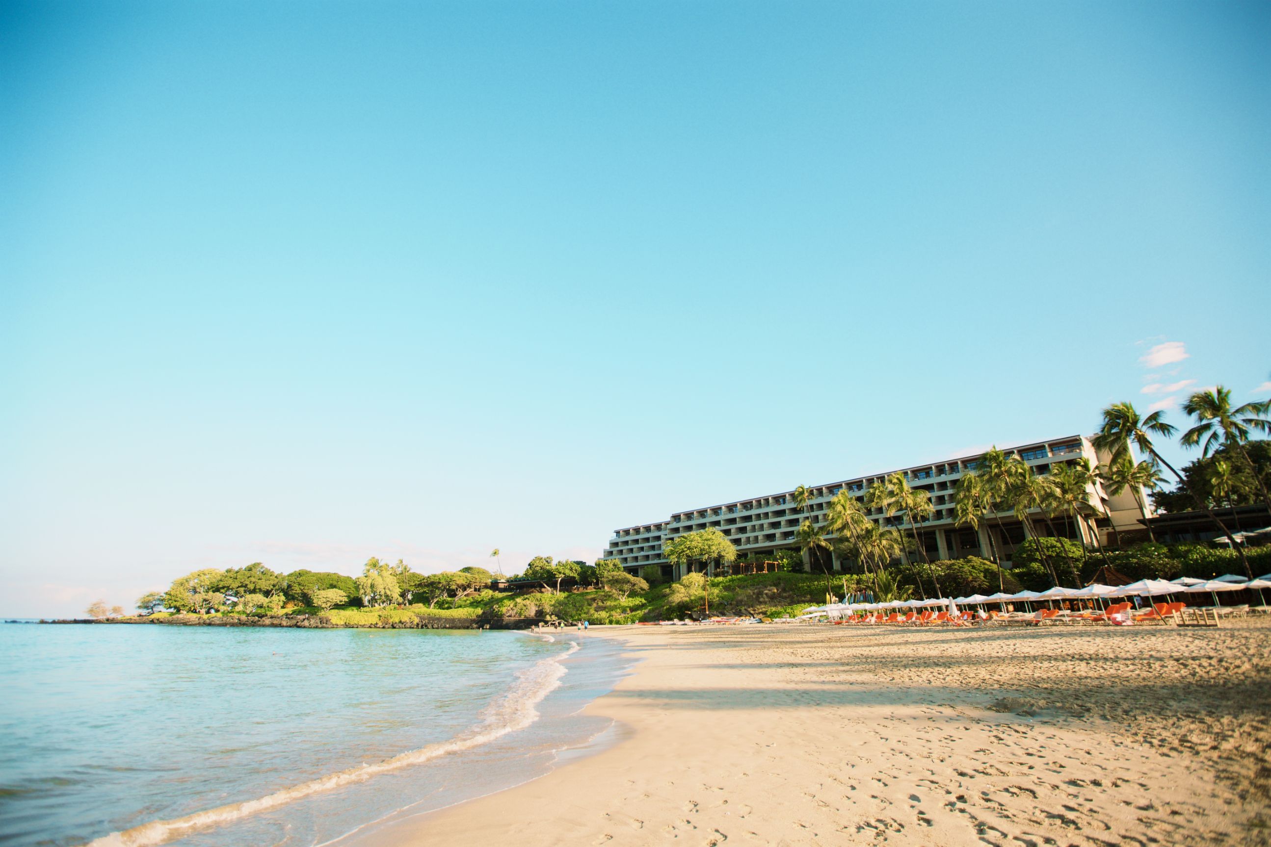 a beach with a building and trees