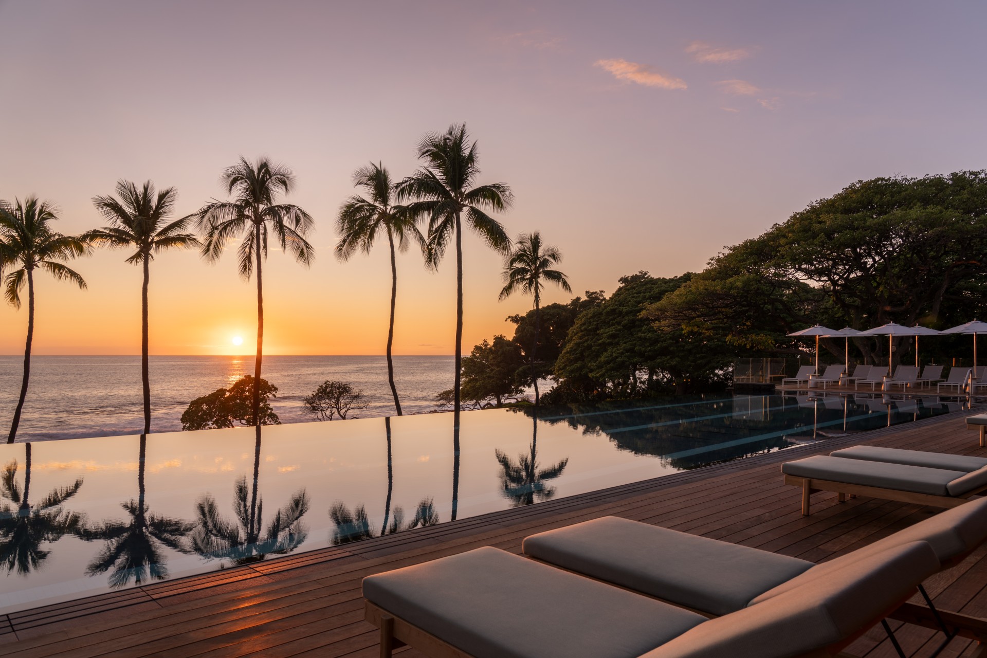 a pool with palm trees and a sunset
