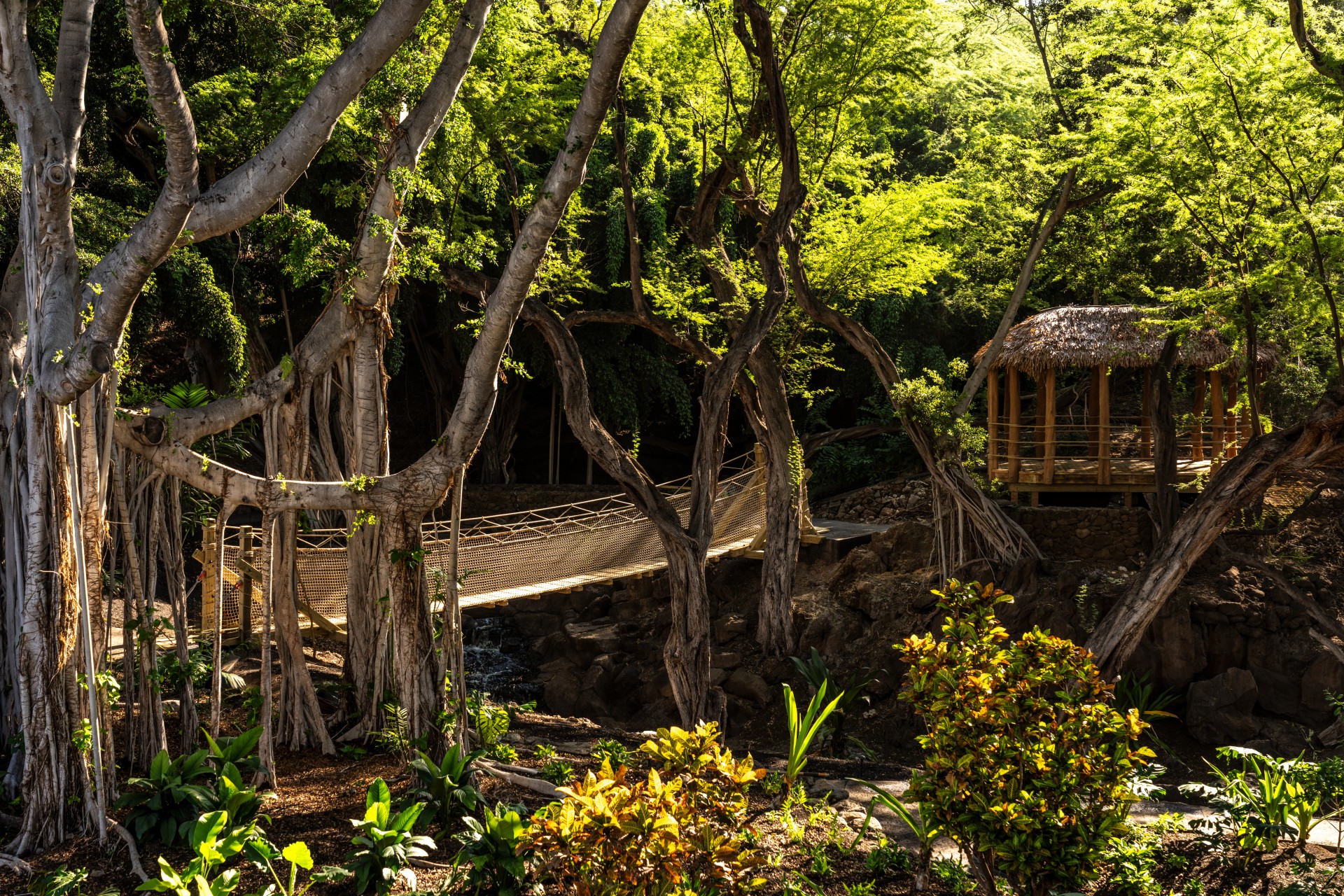 Beng Mealea over a stream in a forest