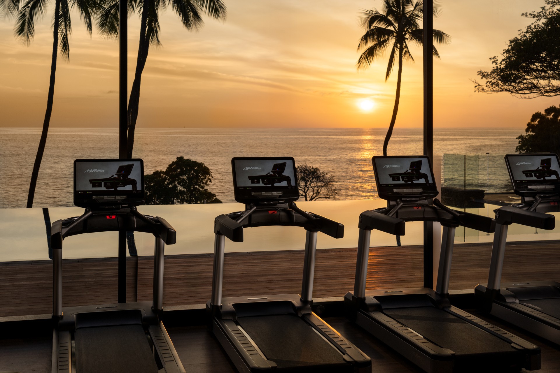 tread treadmills with a view of the ocean and palm trees