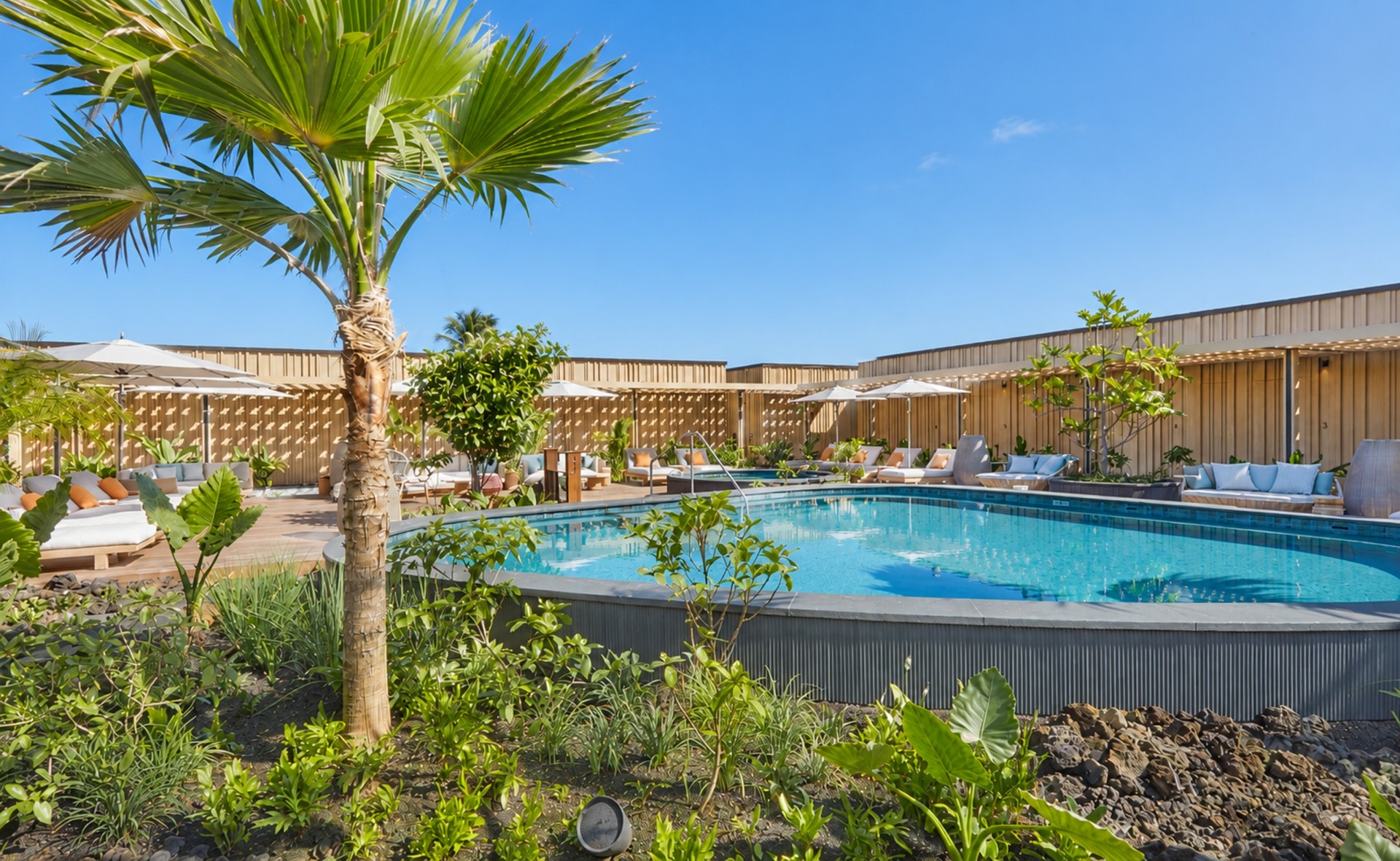 a pool with lounge chairs and a palm tree