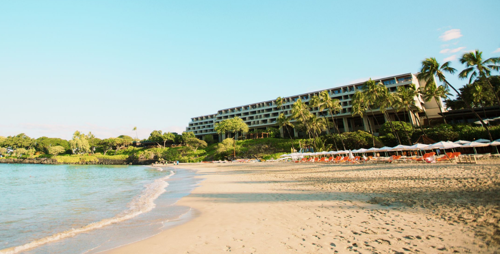 a beach with a building and palm trees