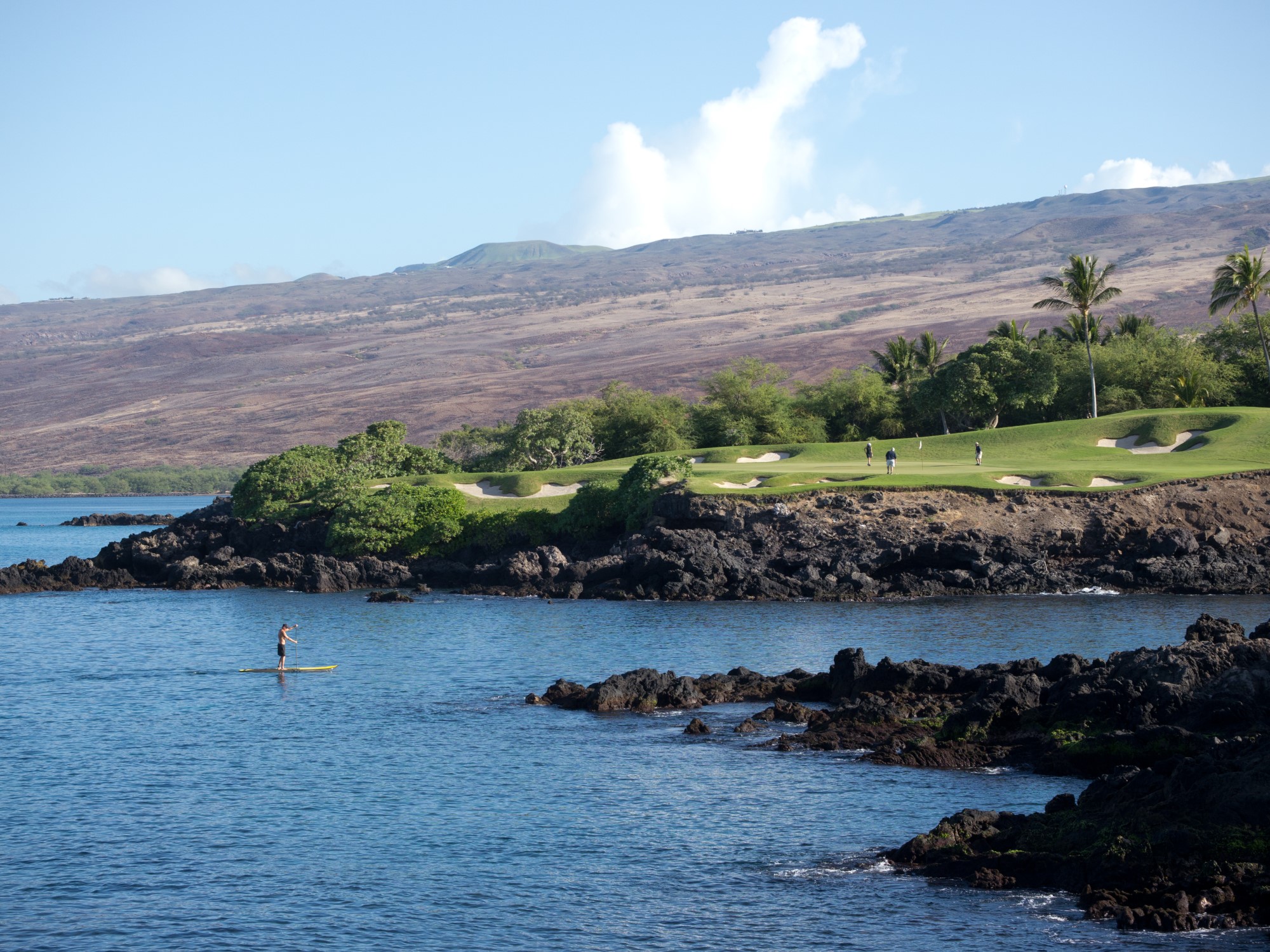 a person on a paddle board in the water