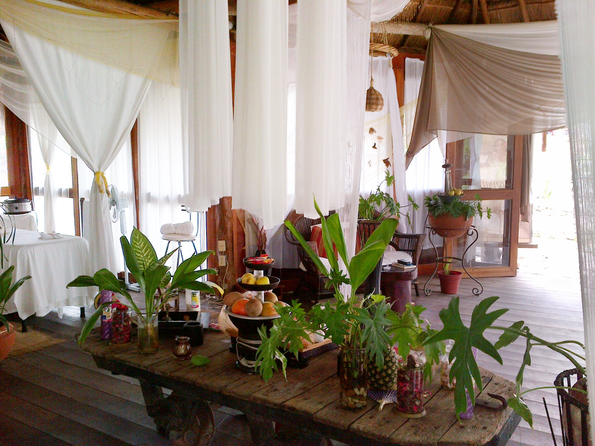 a table with plants on it