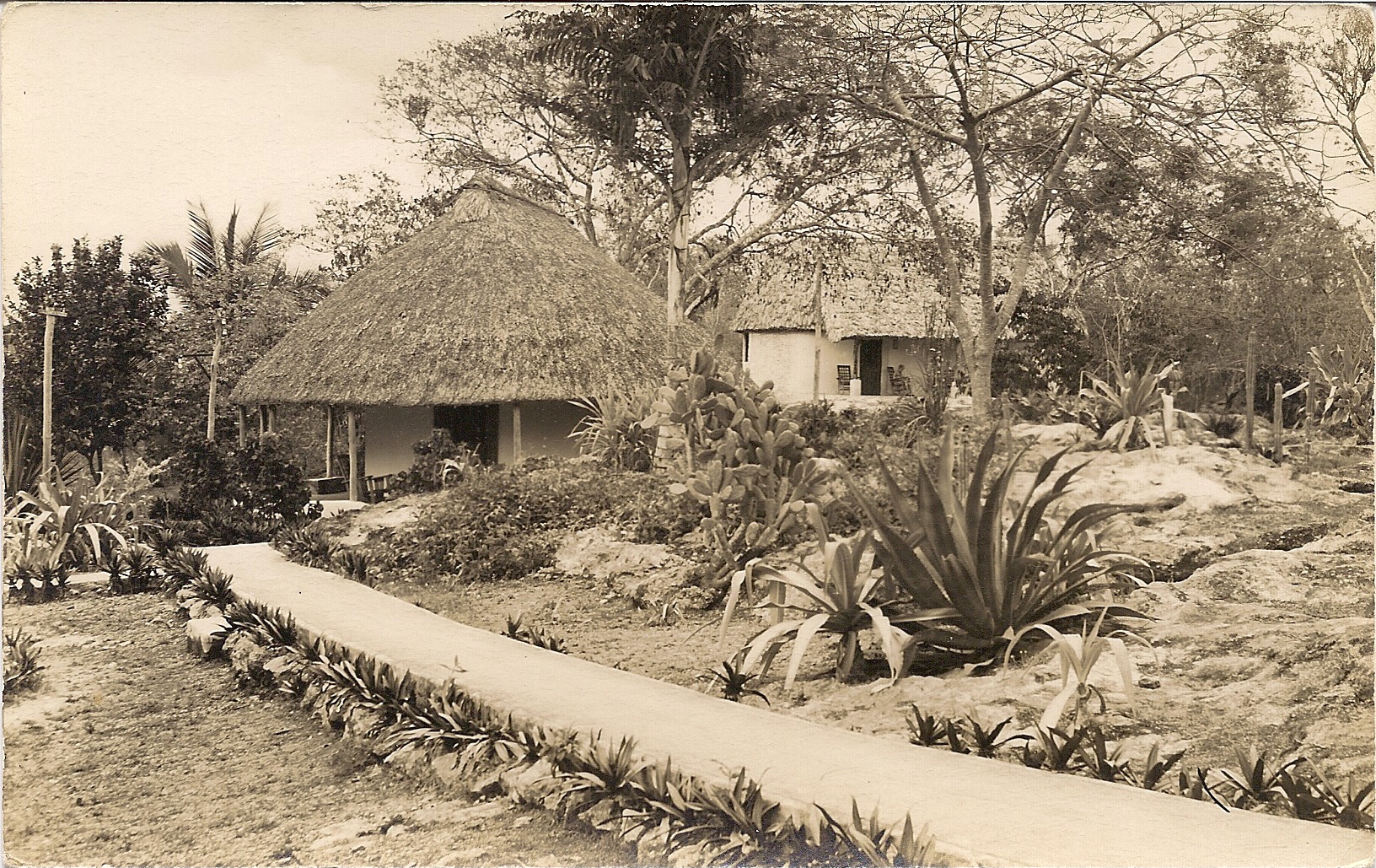 a long shot of a house