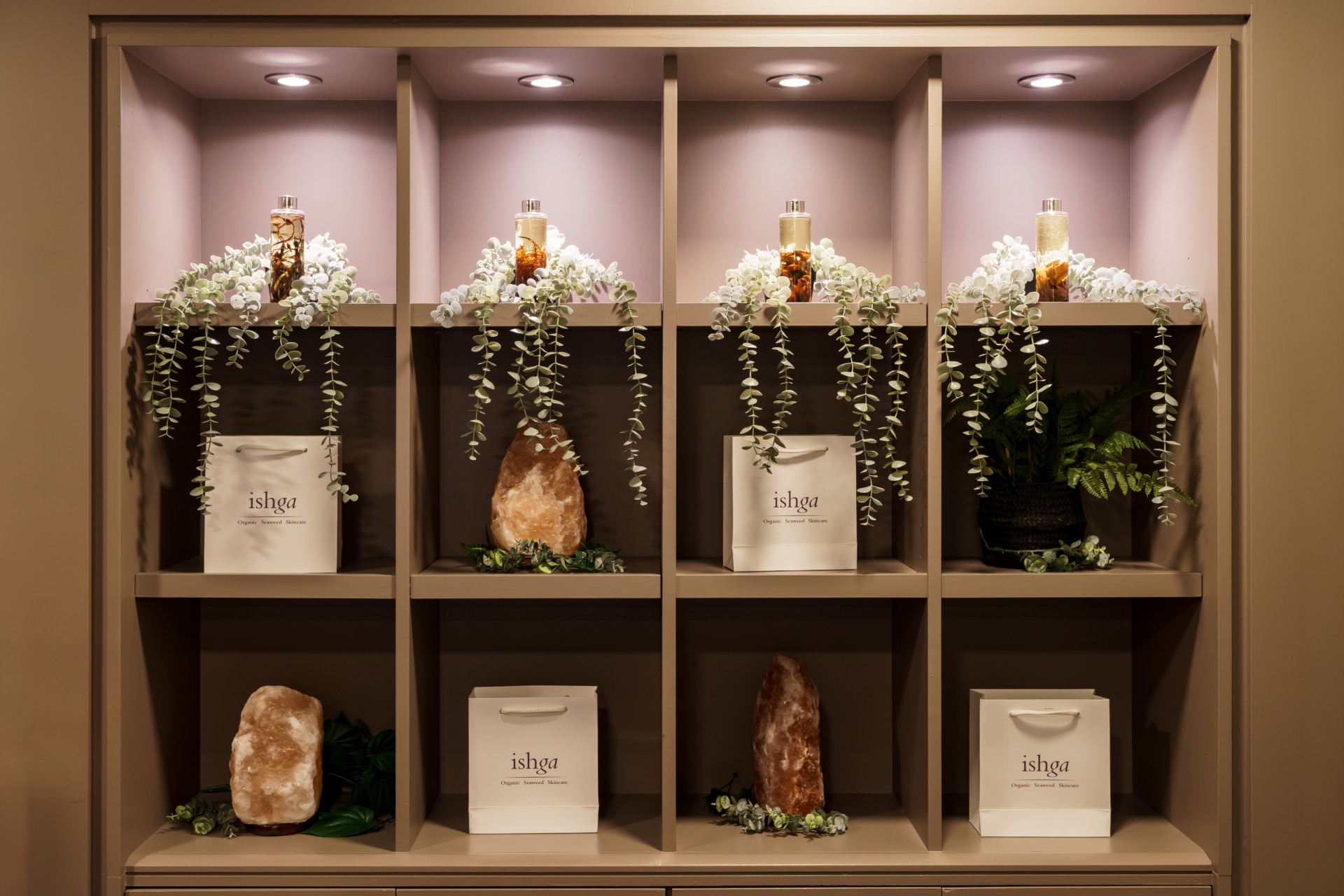 shelves with plants and bags on it