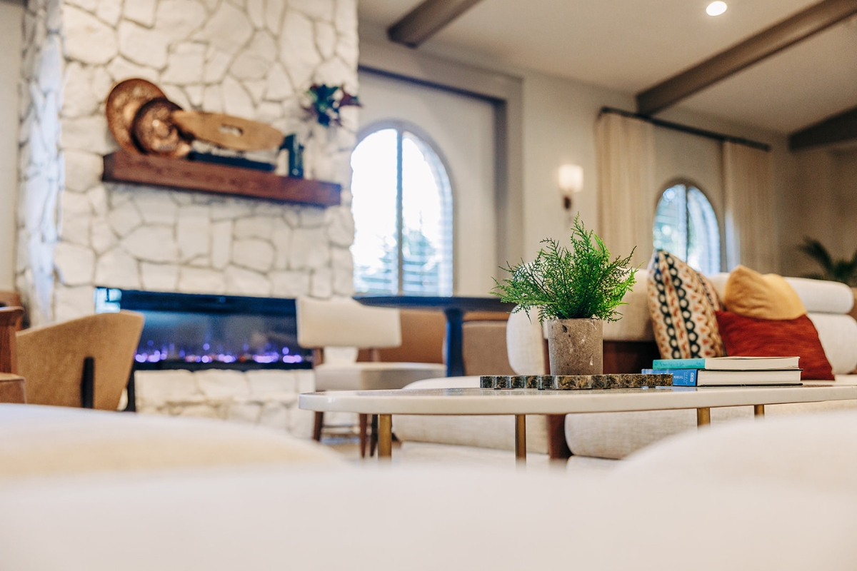 a room with a fireplace and a plant
