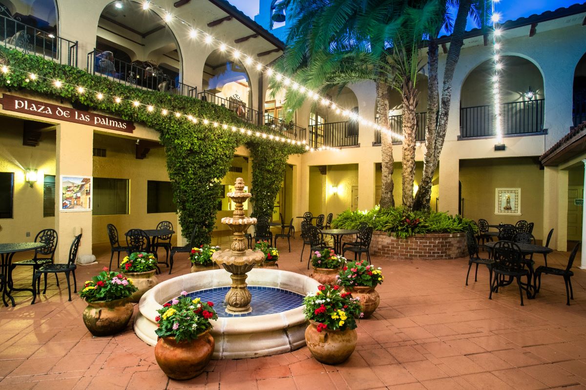 a courtyard with a fountain and plants