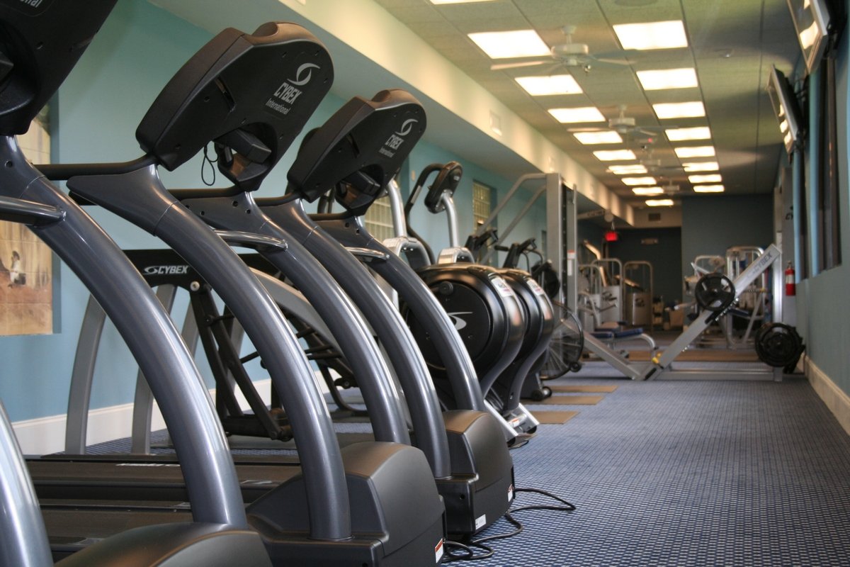 a row of treadmills in a gym