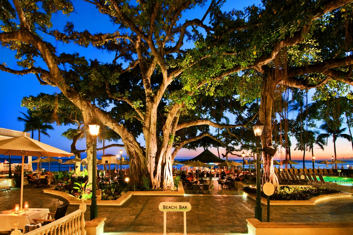 a large tree with lights and umbrellas