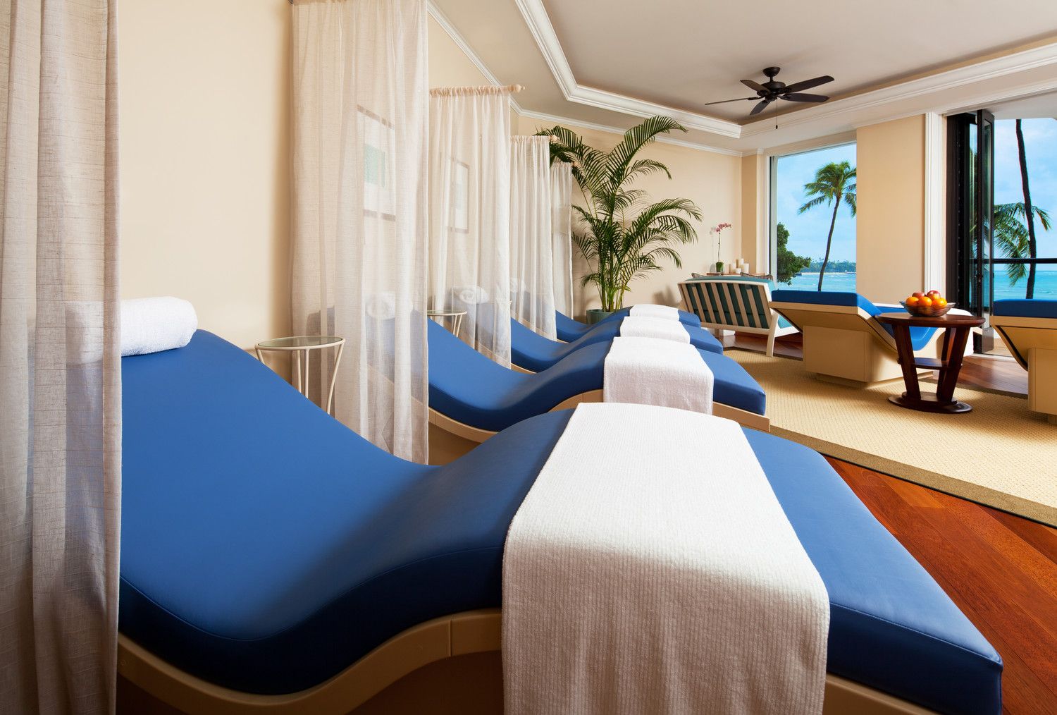 a room with blue chairs and a palm tree