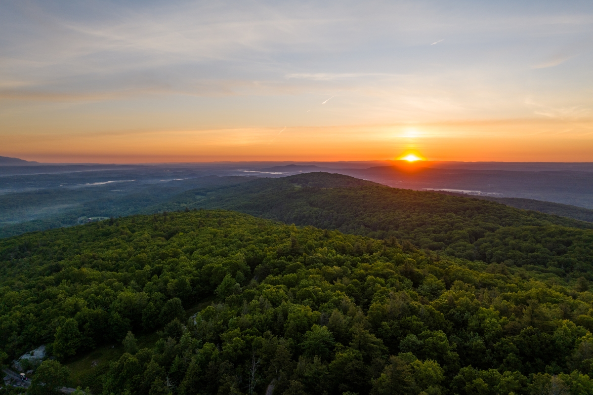a sunset over a forest