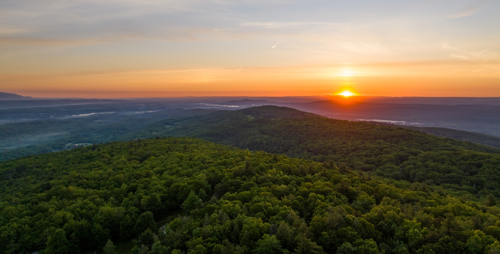 a sunset over a forest